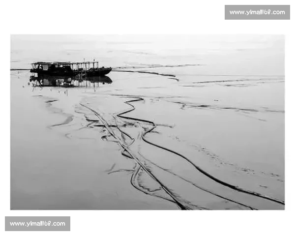 从历史回声到时代记忆的经典回顾与文化再发现之旅深度解读与思考 从历史回声到时代记忆的经典回顾与文化再发现之旅深度解读与思考