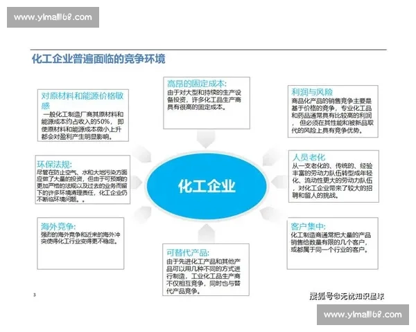 专家视角下的行业发展趋势与未来战略深度解析关键挑战与实践路径